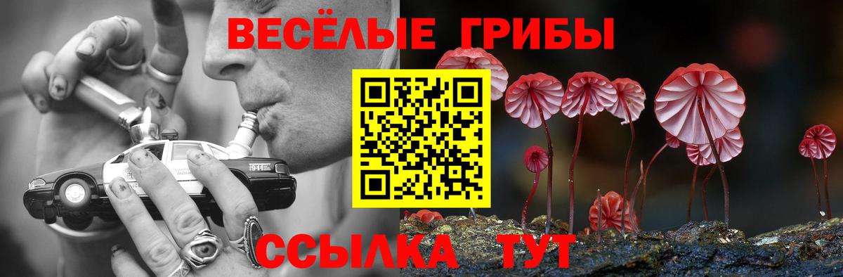 Галлюциногенные грибы мицелий Тихорецк